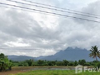 For sale land in Chiang Dao, Chiang Mai