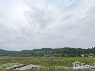 For sale land in Chiang Dao, Chiang Mai
