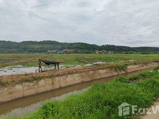 For sale land in Chiang Dao, Chiang Mai