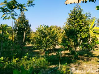 For sale land in Phanom Sarakham, Chachoengsao