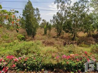 For sale land in Bang Pa-in, Phra Nakhon Si Ayutthaya