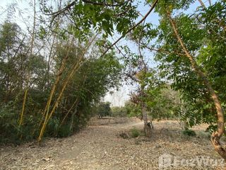 For sale land in Mueang Lamphun, Lamphun