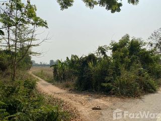 For sale land in Mueang Lamphun, Lamphun