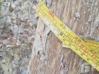For sale land in Wichian Buri, Phetchabun