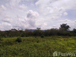For sale land in Muak Lek, Saraburi