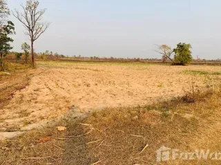 For sale land in Sawang Daen Din, Sakon Nakhon