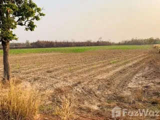 For sale land in Sawang Daen Din, Sakon Nakhon
