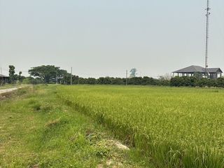 For sale land in Mueang Lamphun, Lamphun