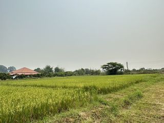 For sale land in Mueang Lamphun, Lamphun