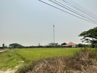For sale land in Mueang Lamphun, Lamphun