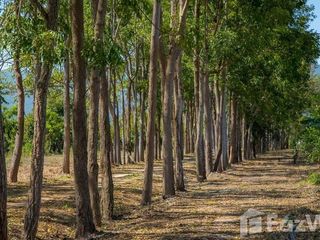 For sale land in Mueang Kanchanaburi, Kanchanaburi