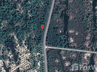 For sale land in Takua Pa, Phang Nga