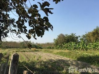 For sale land in Wiang Chiang Rung, Chiang Rai