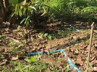 For sale land in Wiang Chiang Rung, Chiang Rai