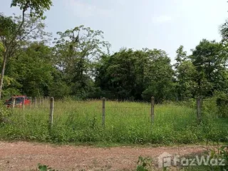 For sale land in Phu Kamyao, Phayao