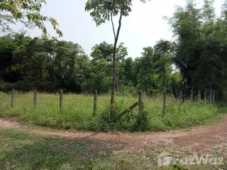For sale land in Phu Kamyao, Phayao