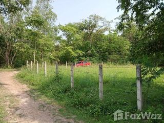 For sale land in Phu Kamyao, Phayao
