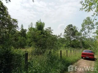 For sale land in Phu Kamyao, Phayao
