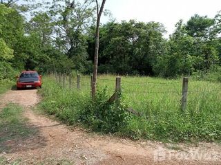 For sale land in Phu Kamyao, Phayao