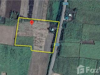 For sale land in Phu Khiao, Chaiyaphum