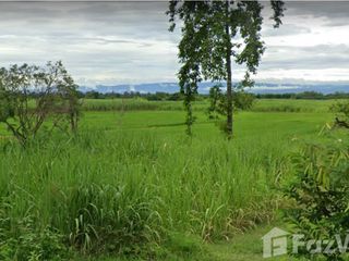 For sale land in Phu Khiao, Chaiyaphum