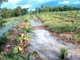 For sale land in Nong Han, Udon Thani