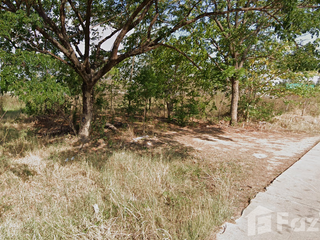 For sale land in Mueang Phitsanulok, Phitsanulok