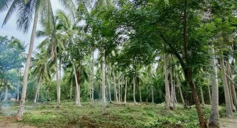 For sale land in Mueang Samut Songkhram, Samut Songkhram