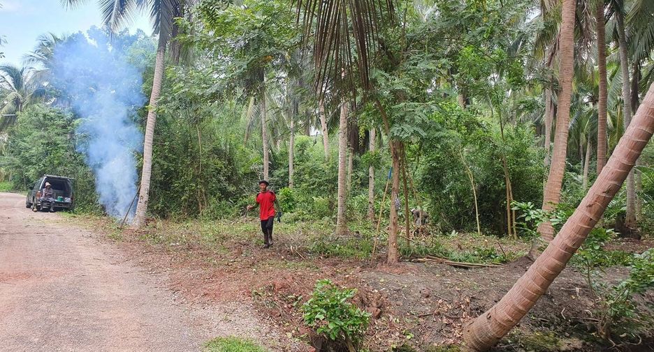 For sale land in Mueang Samut Songkhram, Samut Songkhram