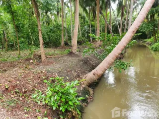 For sale land in Mueang Samut Songkhram, Samut Songkhram