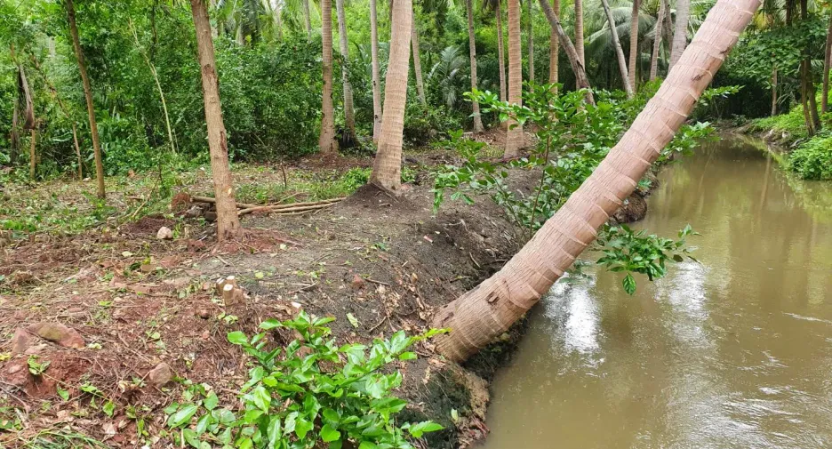 For sale land in Mueang Samut Songkhram, Samut Songkhram