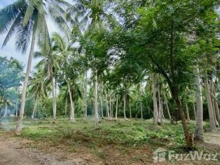 For sale land in Mueang Samut Songkhram, Samut Songkhram