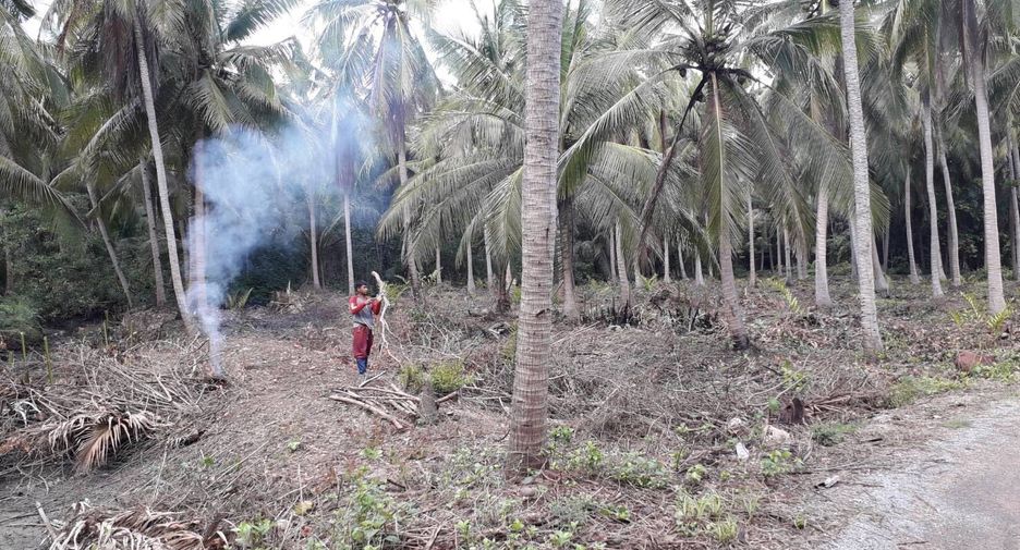 For sale land in Mueang Samut Songkhram, Samut Songkhram