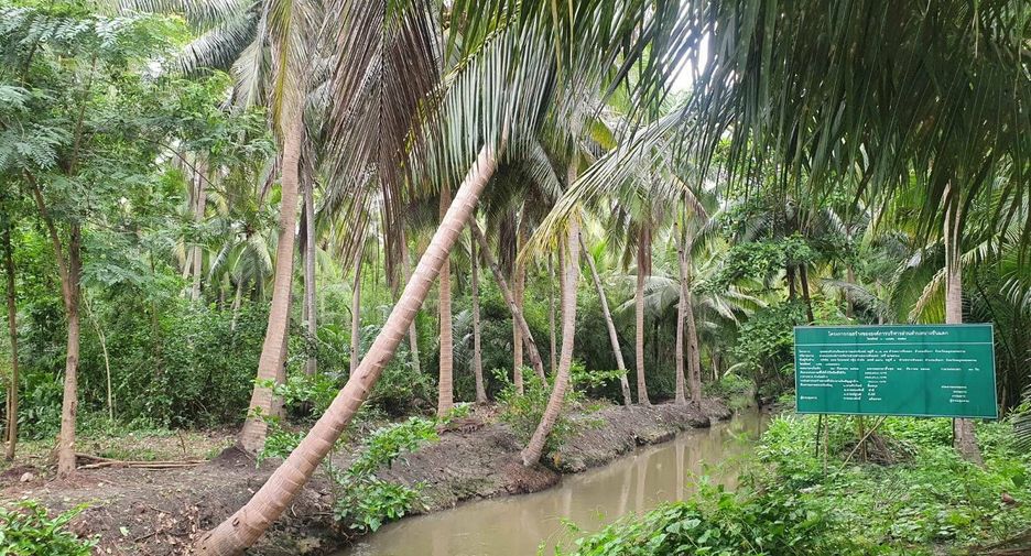 For sale land in Mueang Samut Songkhram, Samut Songkhram