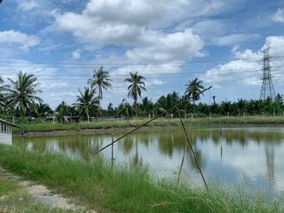 For sale land in Ban Phaeo, Samut Sakhon