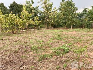For sale land in Wang Thong, Phitsanulok