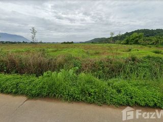 For sale land in Chiang Dao, Chiang Mai