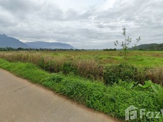 For sale land in Chiang Dao, Chiang Mai