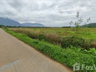 For sale land in Chiang Dao, Chiang Mai