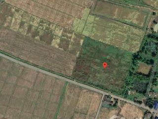 For sale land in Chiang Dao, Chiang Mai