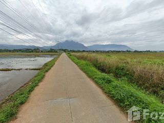 For sale land in Chiang Dao, Chiang Mai