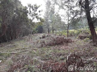 For sale land in Mueang Trat, Trat