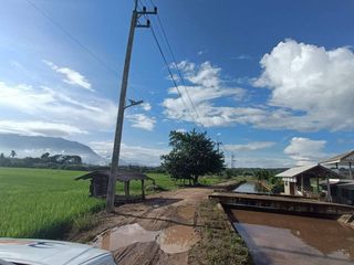 For sale land in Chiang Dao, Chiang Mai