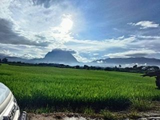 For sale land in Chiang Dao, Chiang Mai