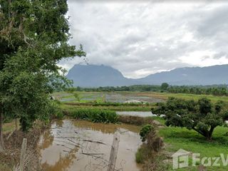 For sale land in Chiang Dao, Chiang Mai