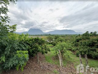 For sale land in Chiang Dao, Chiang Mai