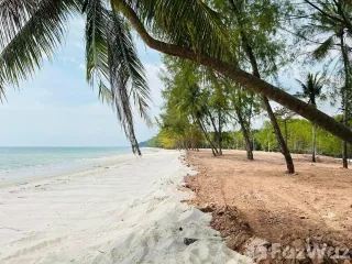 ขาย ที่ดิน ใน คลองใหญ่, ตราด