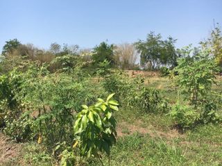 For sale land in Wichian Buri, Phetchabun