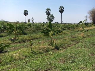 For sale land in Wichian Buri, Phetchabun