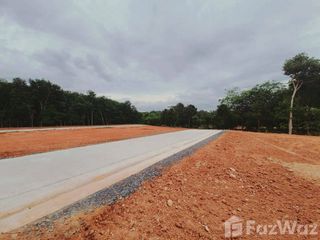 For sale land in Wiang Sa, Surat Thani